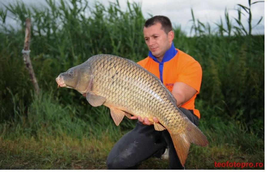 Diverse Partide - DORIPESCO.3.jpg